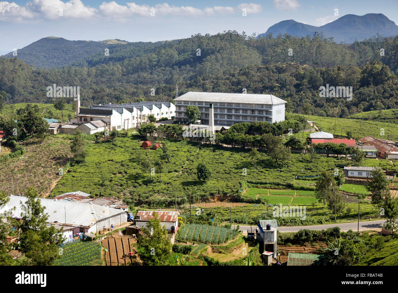 Nuwara Eliya Pedro Tea Estate tea factory, Sri Lanka, Asia Stock Photo