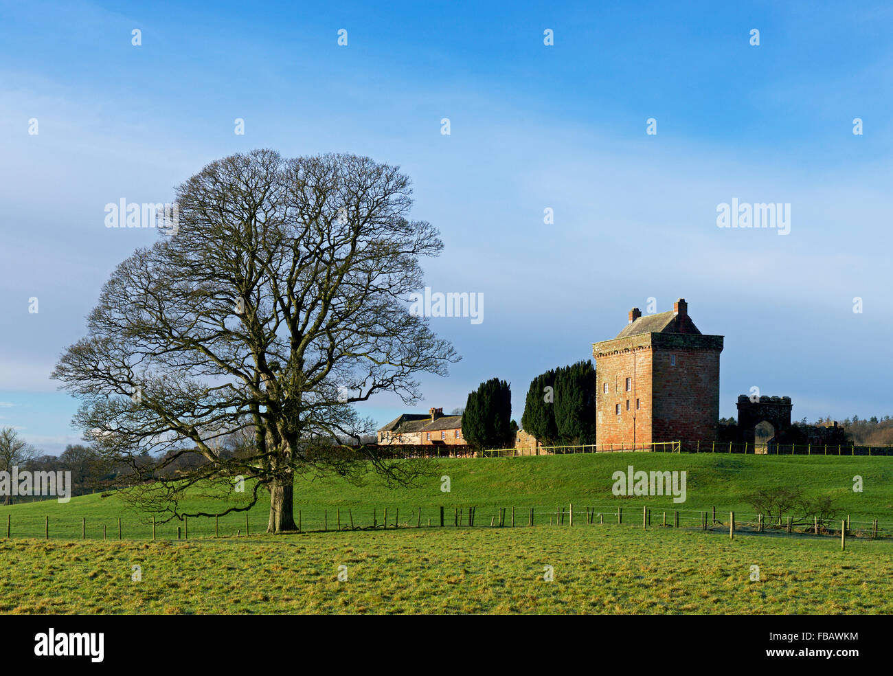 Kirkandrews Tower, a fortified house at Kirkandrews-on-Esk, Cumbria, England UK Stock Photo
