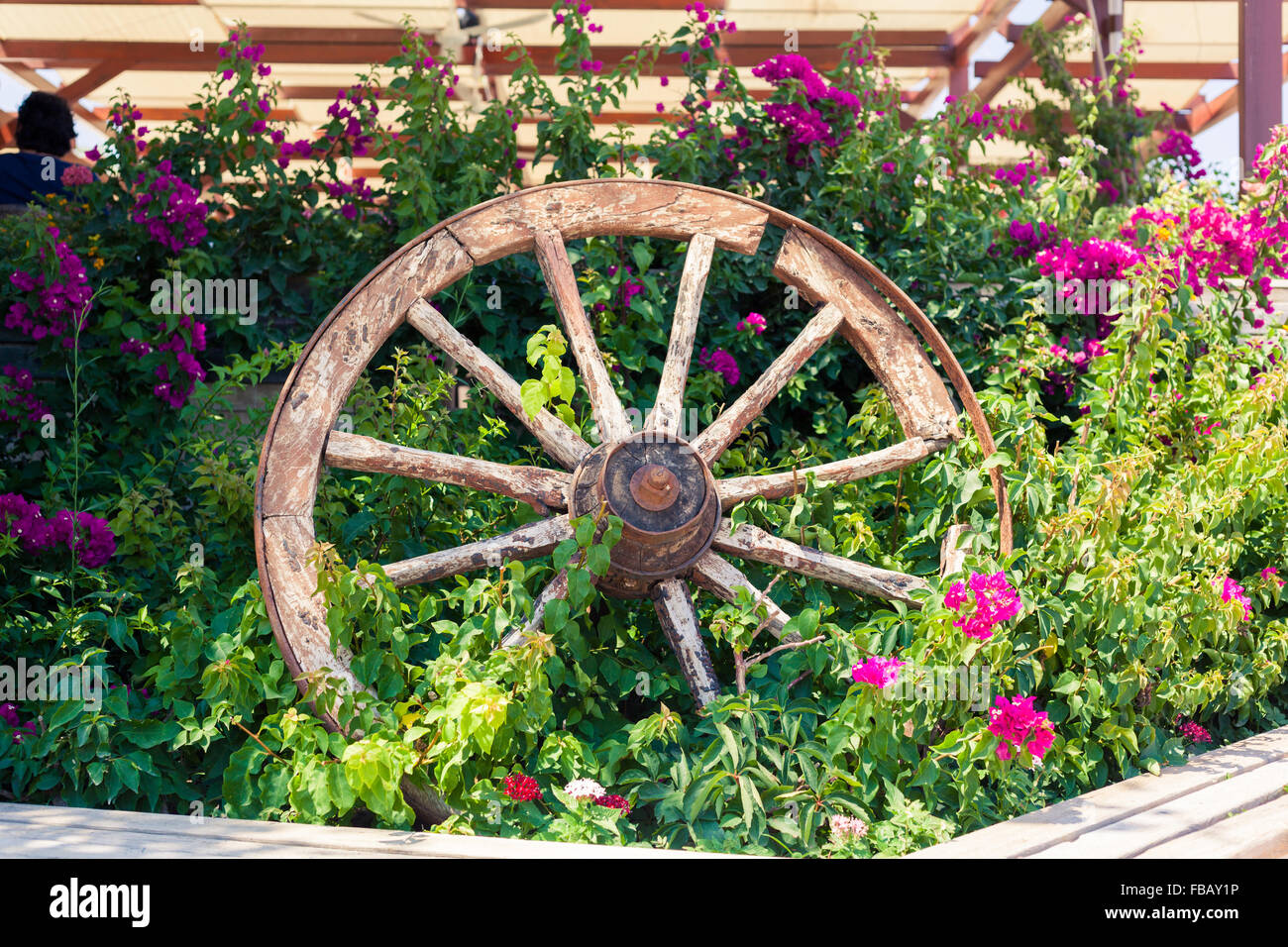 Old broken wagon wheel in flower bed Stock Photo