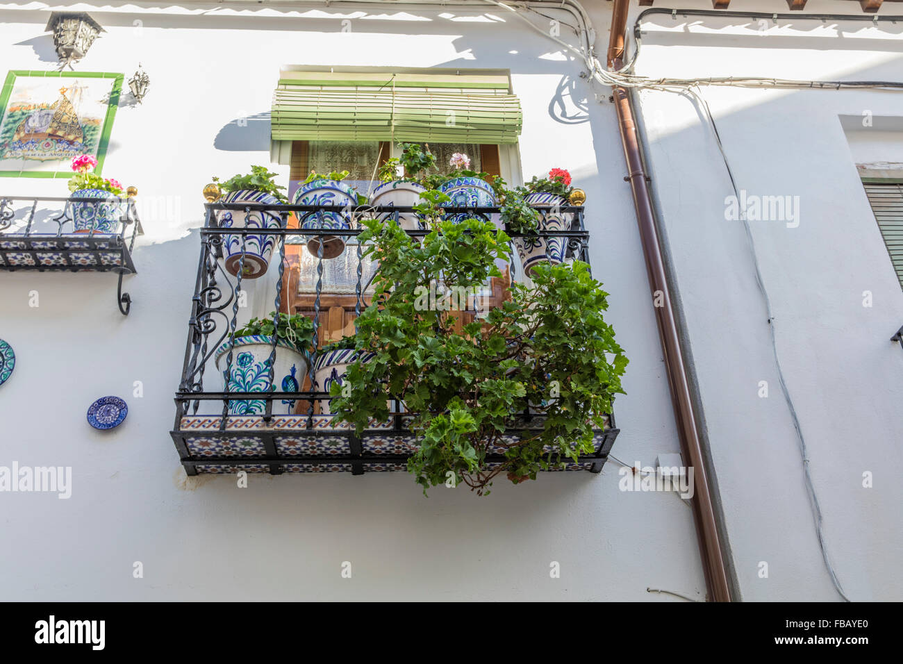 Flowers and plants on a typical Spanish balcony in the Albaicin