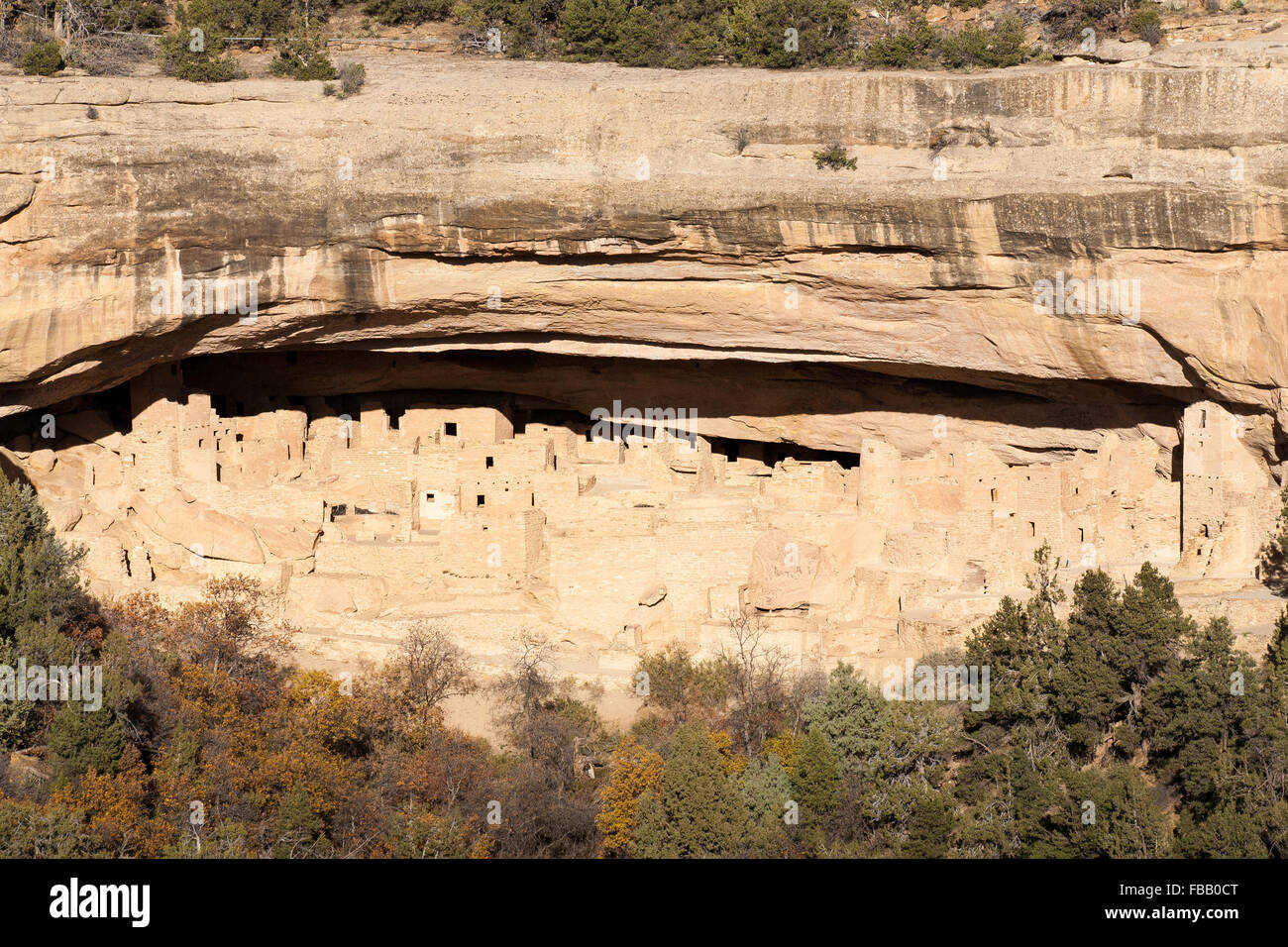 A view of Cliff Palace seen from an overlook across the canyon in Mesa Verde National Park, Colorado. Stock Photo