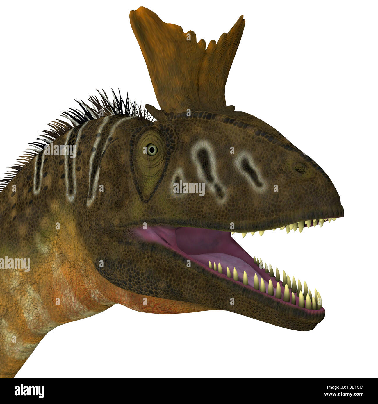 Cryolophosaurus dinosaur apex predator head hi-res stock photography ...