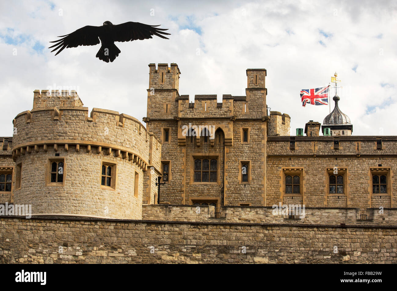 A Raven over the Tower of London, London, UK. Stock Photo