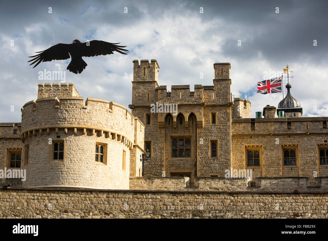 A Raven over the Tower of London, London, UK. Stock Photo