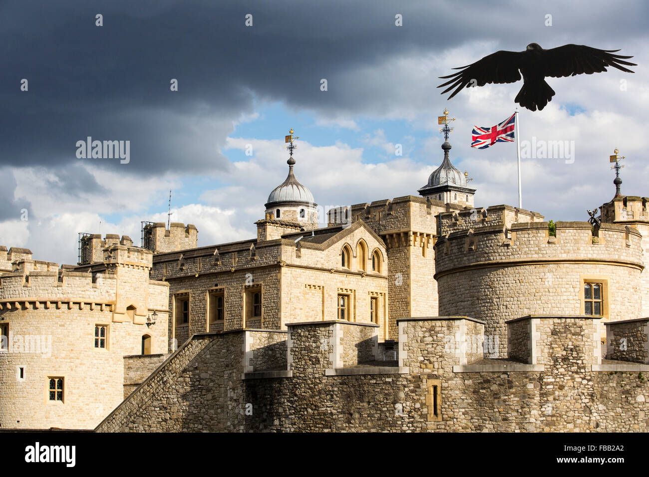 A Raven over the Tower of London, London, UK. Stock Photo