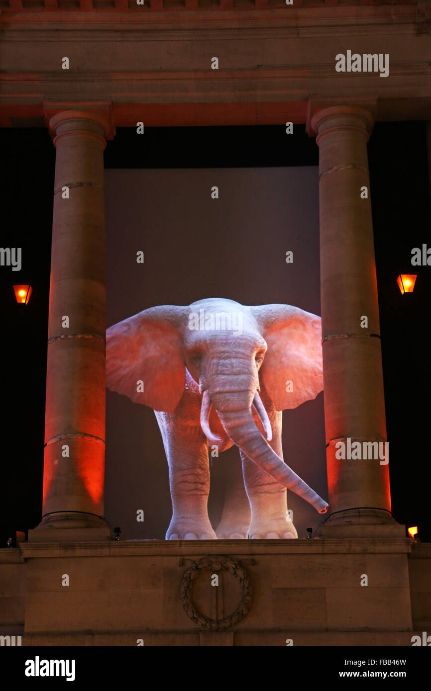 London, UK. 13th January 2016. Elephantastic by Catherine Garret of Top'la Design, part of the Lumiere London Festival. Londoners were treated to a sneak preview of the Lumiere London Festival 2016 as the light art installations were installed and tested the day before the start of the festival. Credit:  Paul Brown/Alamy Live News Stock Photo