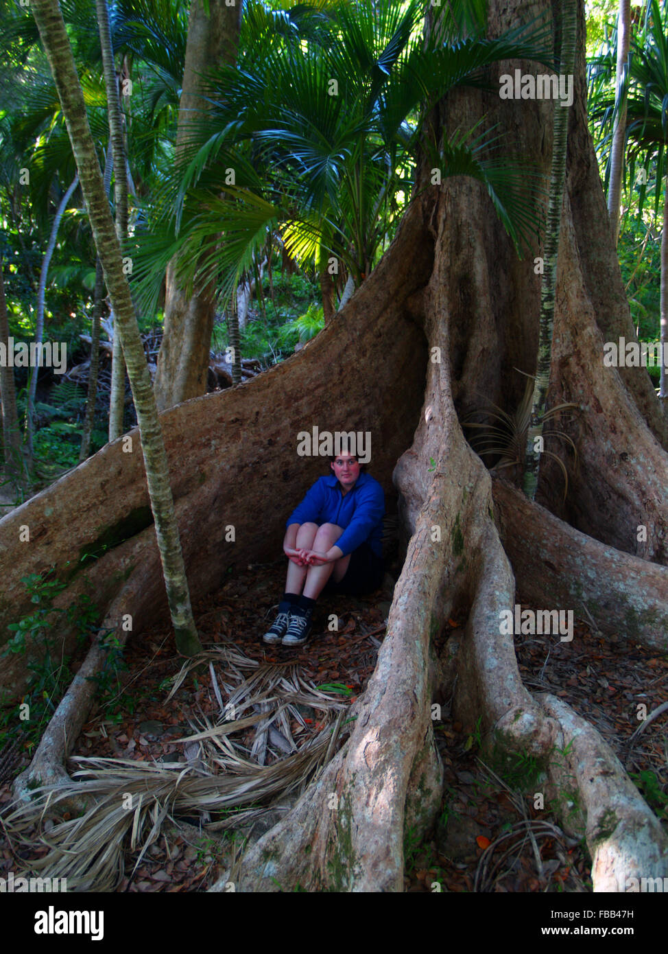 Rowan Romeyn Stock Photos & Images from Alamy