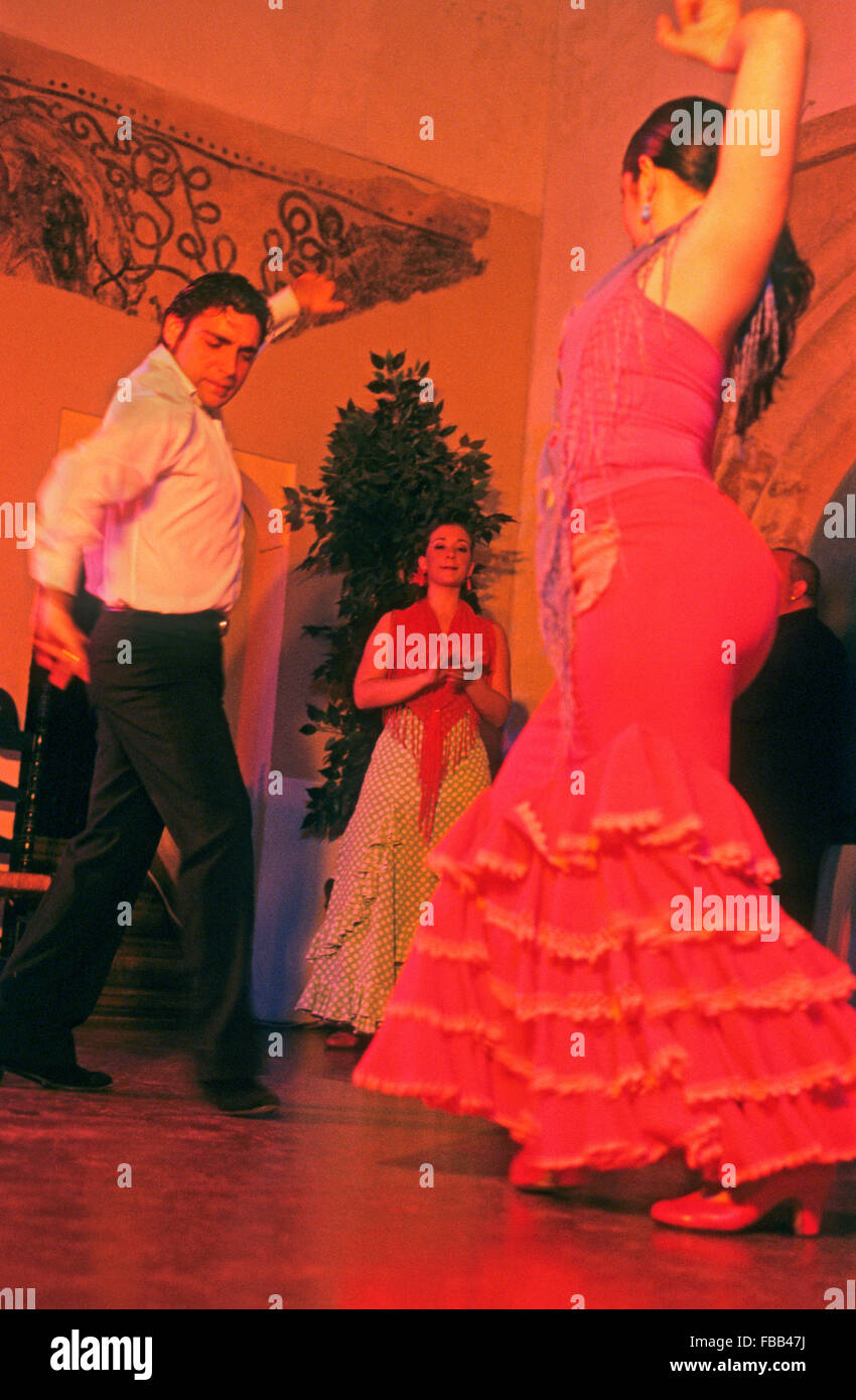 Córdoba.Andalusia. Spain: flamenco show at Tablao Cardenal. Torrijos street, 10. Stock Photo