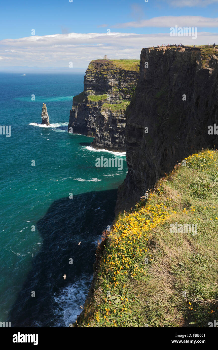 Cliffs of Moher with O'Brien's Tower, County Clare, Ireland Stock Photo