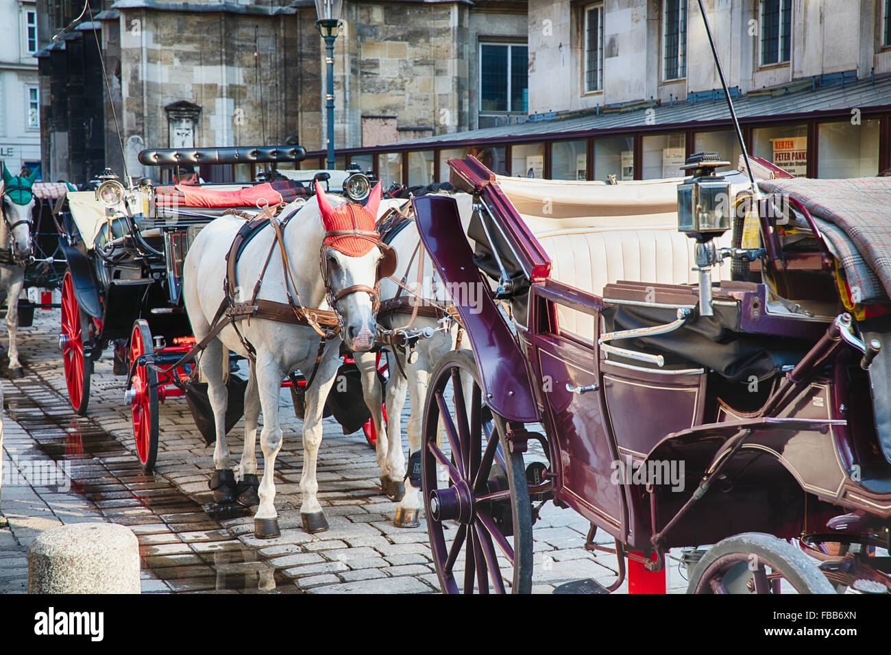 Horse-Drawn Carriages Waiting for Passengers, Stefansplatz, Vienna, Austria Stock Photo