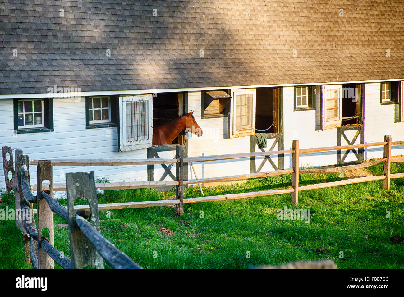 A horse Peeking Out of a Stable, Tewksbury, Hunterdon County, New Jersey Stock Photo