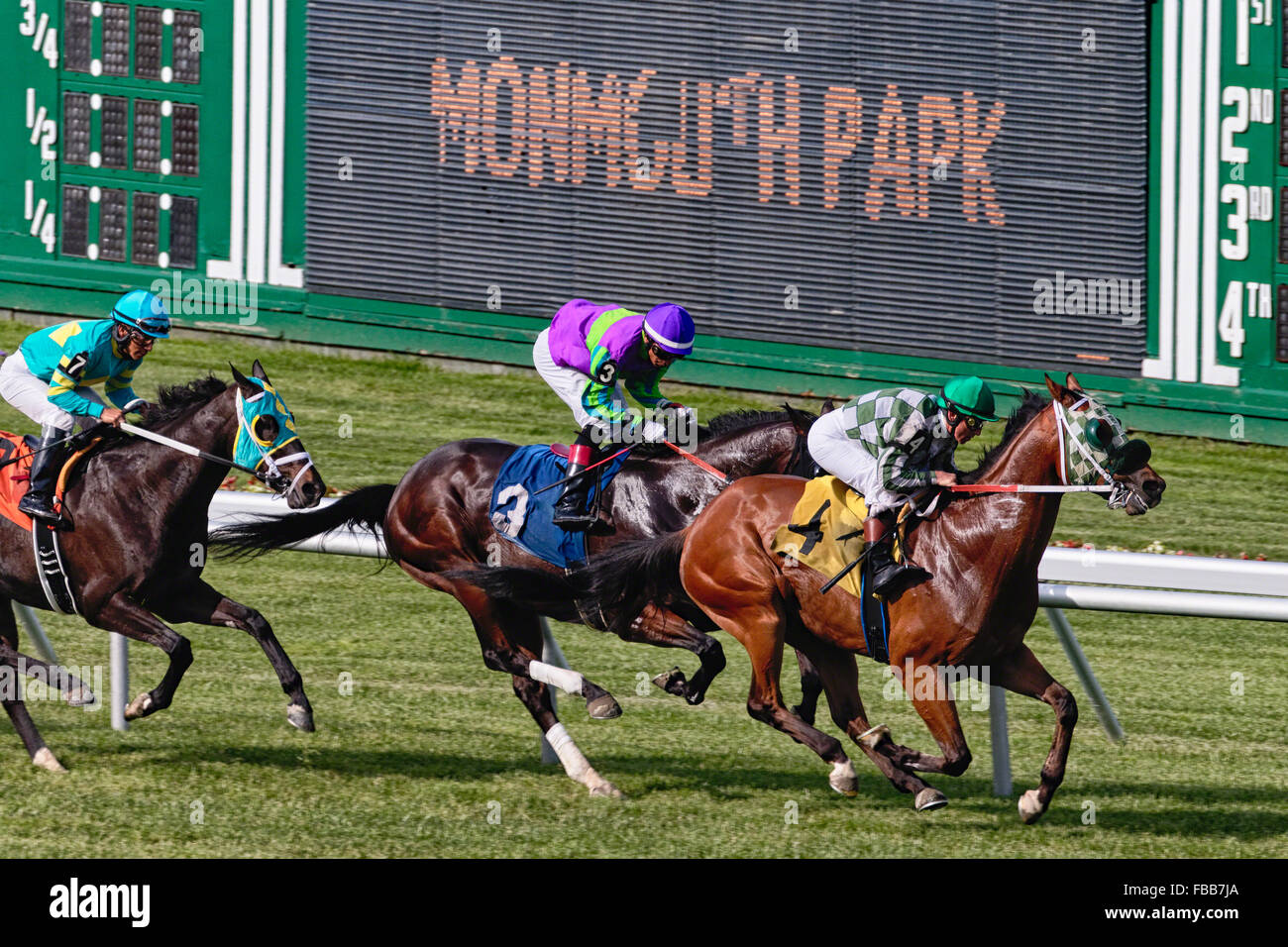 Three Horses with Jockeys Racing at Monmouth Park Race Track, Oceanport, New Jersey Stock Photo