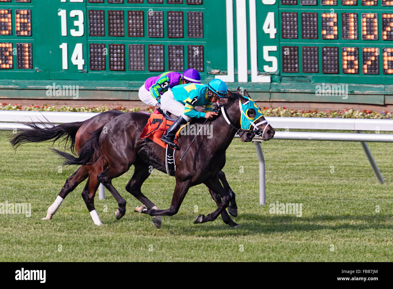 Two Horses with Jockeys Racing Head-To-Head at Monmouth Park Race Track, Oceanport, New Jersey Stock Photo