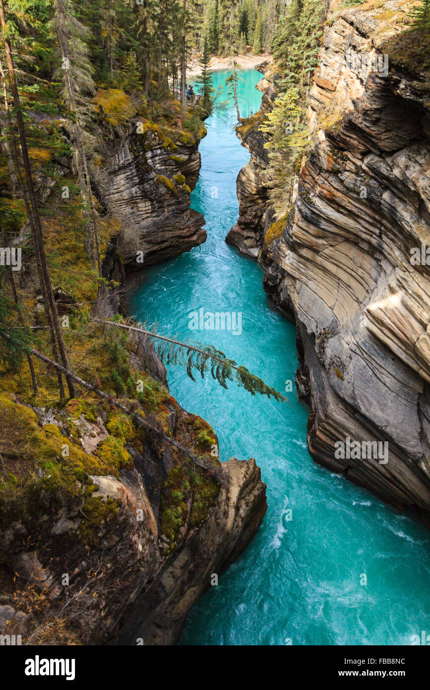 Athabasca Falls, Banff Stock Photo