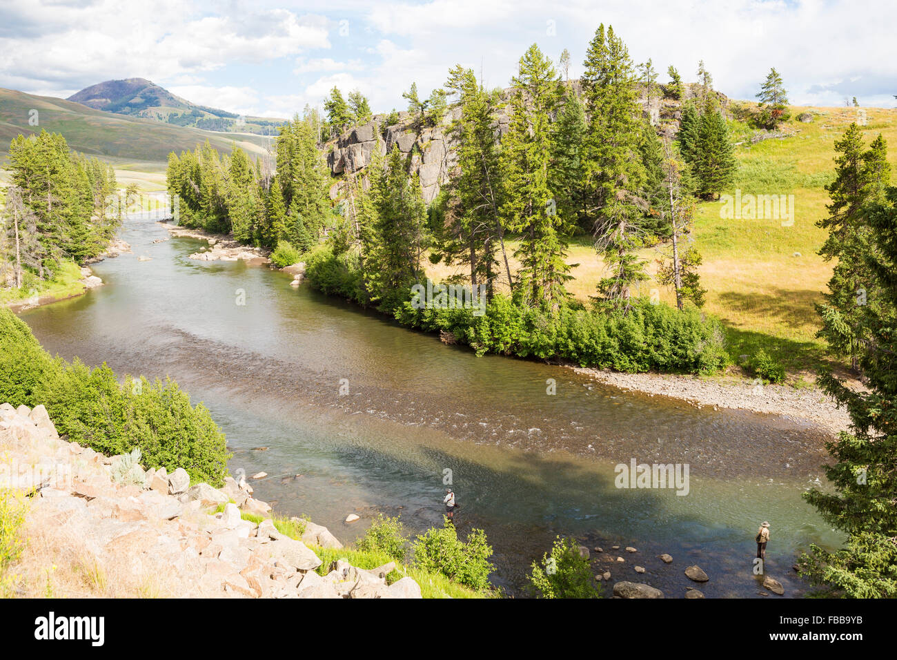 Fly fishers work the lamar river in yellowstone national park Stock Photo