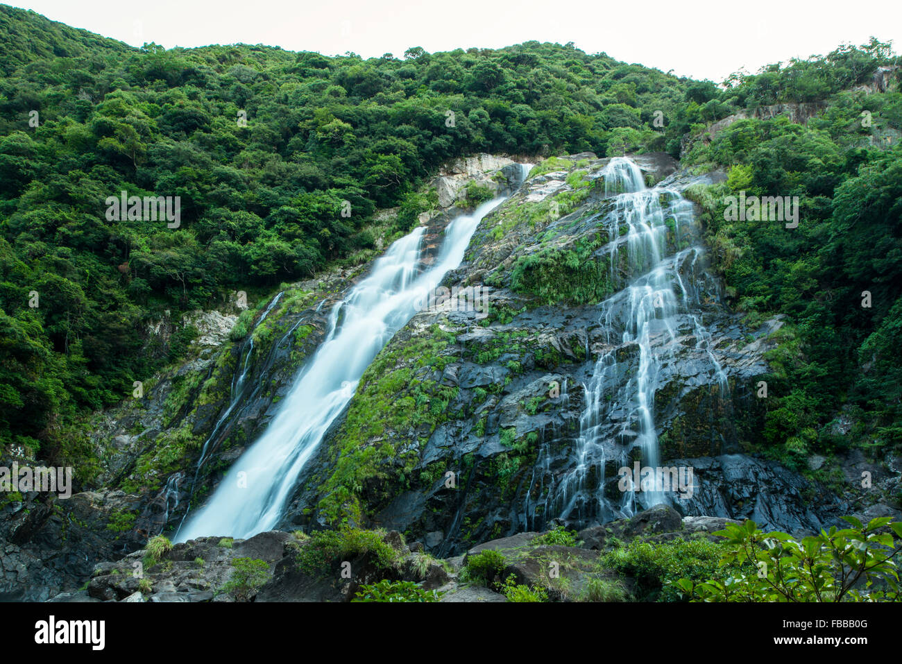Yakushima Island,Yakushima,Kagoshima,Japan Stock Photo Alamy