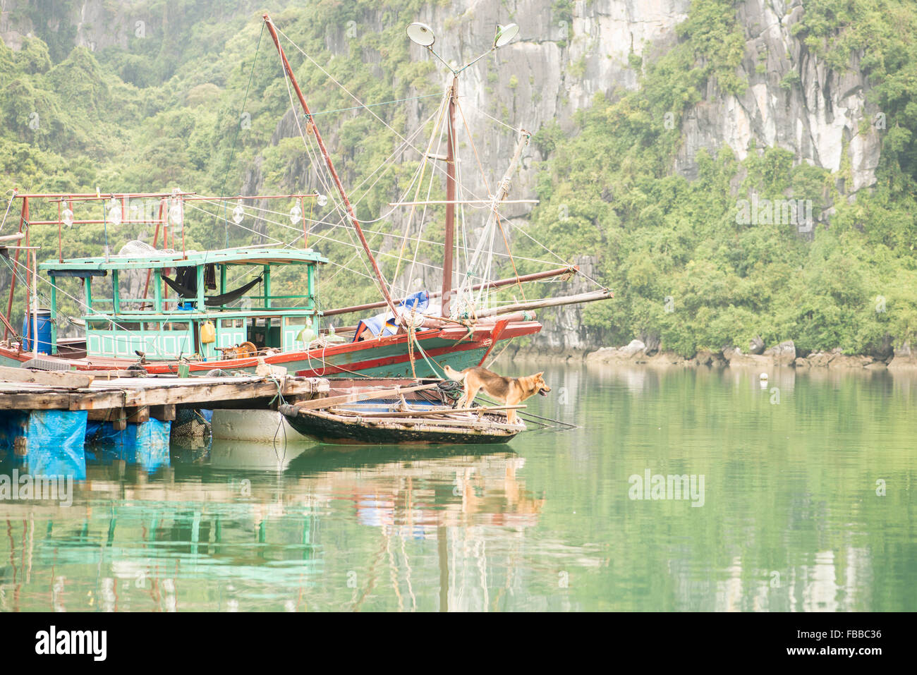 Floating fishing village, Halong Bay, Vietnam Stock Photo Alamy
