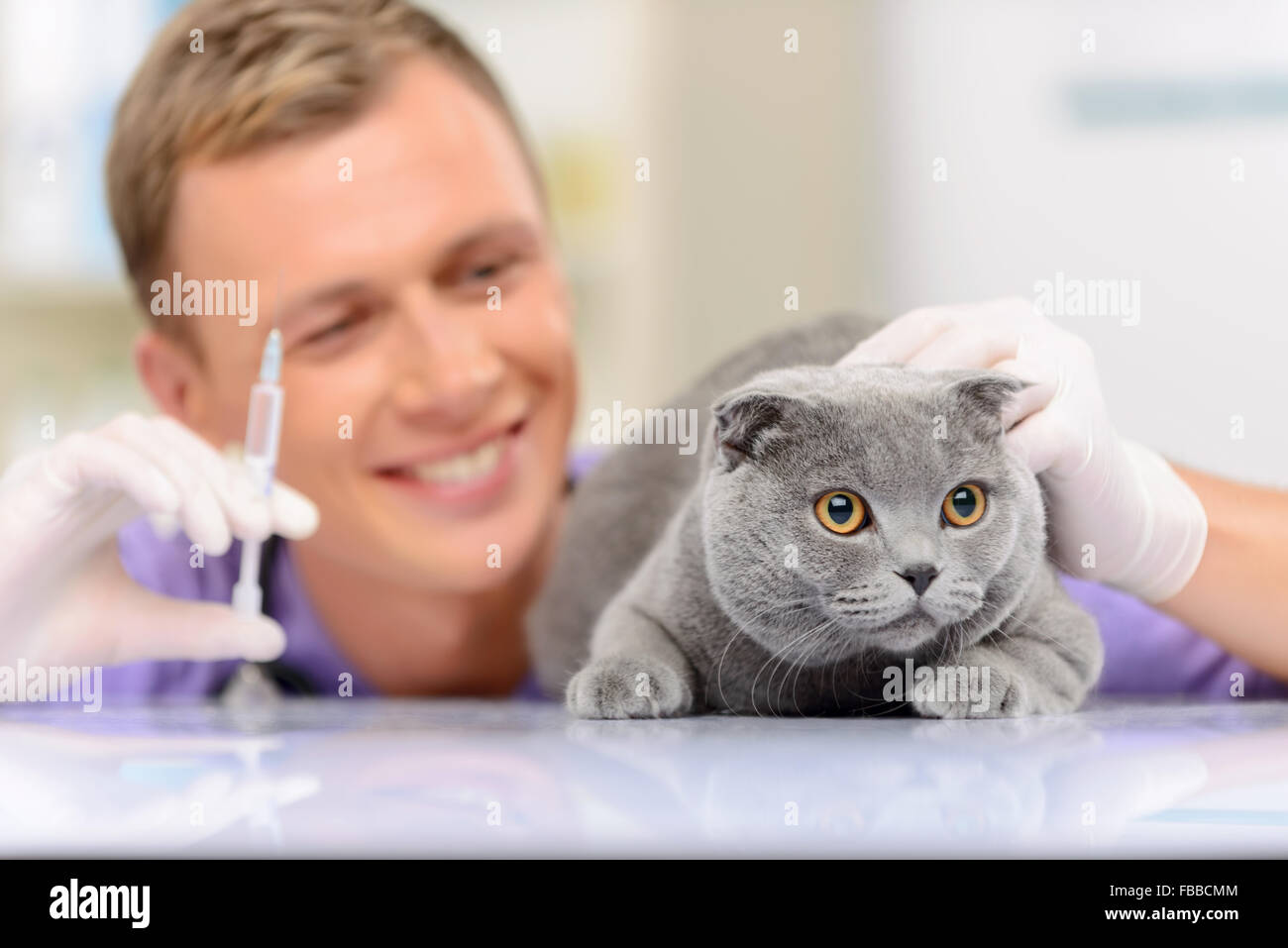 Positive vet examining a cat Stock Photo
