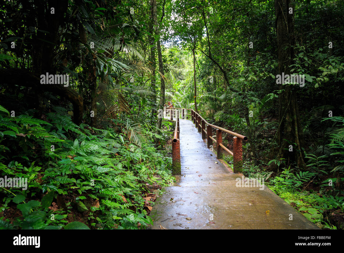 Raining inside hi-res stock photography and images - Alamy