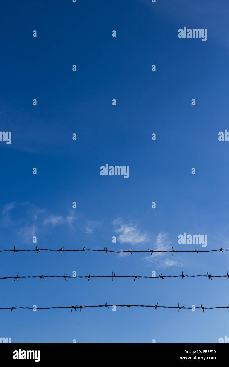 Barbed wire fence against blue sky and cloud Stock Photo - Alamy