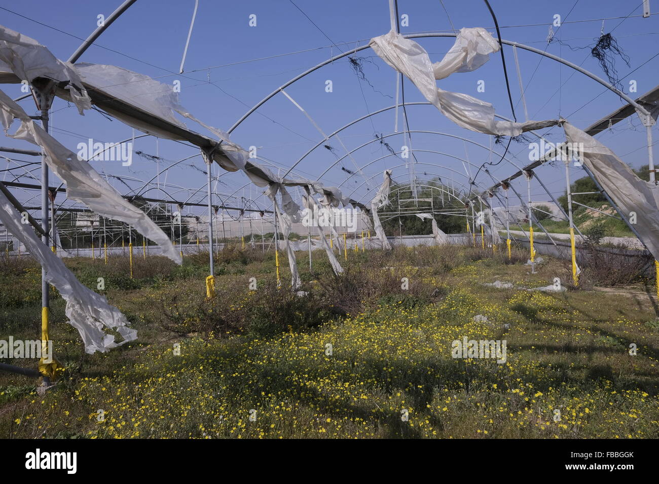 An abandoned greenhouse in Moshav Netiv Haasarah Israeli community settlement near norther Gaza border Israel Stock Photo