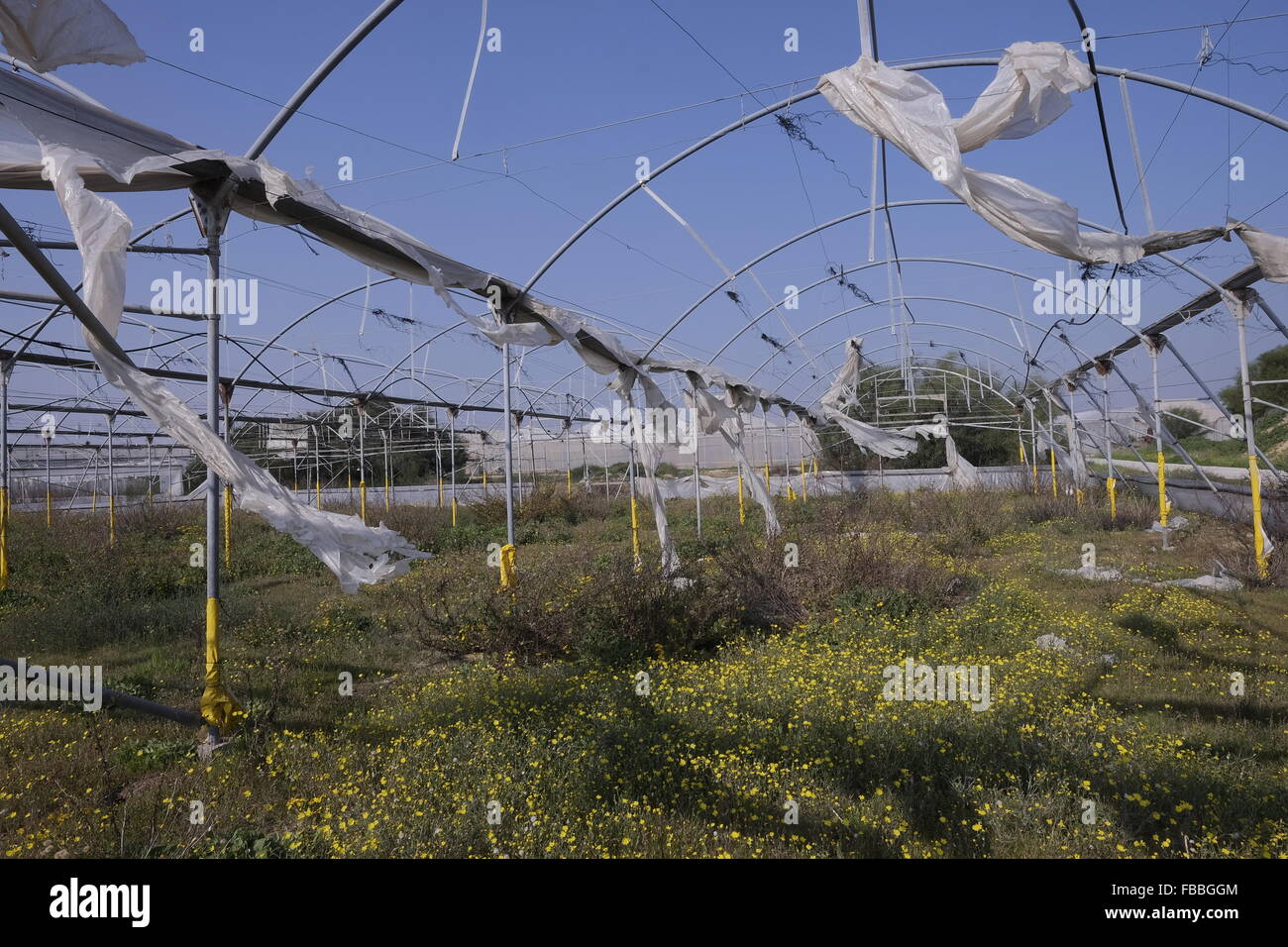 An abandoned greenhouse in Moshav Netiv Haasarah Israeli community