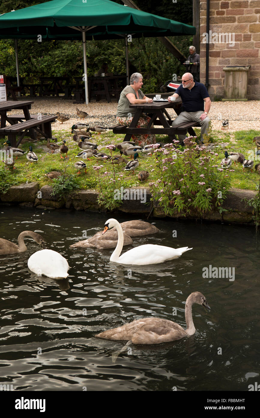 UK, England, Derbyshire, Cromford, ducks and swans in Canal at Cromford Wharf Stock Photo