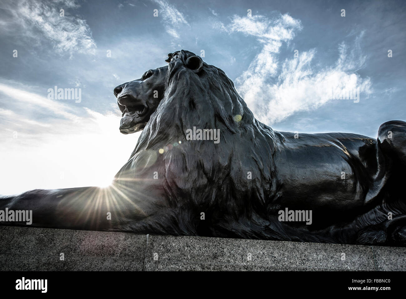 Lion statue at base of Nelson's column, Trafalgar Square Stock Photo