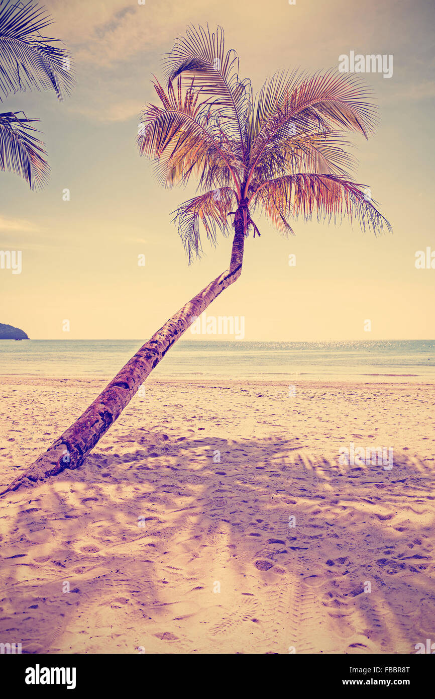 Retro old film style toned tropical beach with palm tree. Stock Photo