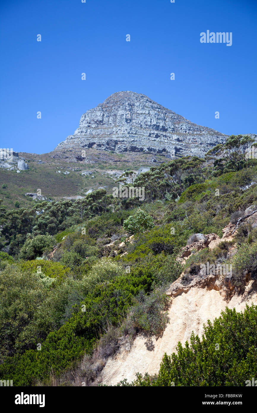 Lions Head in Cape Town - South Africa Stock Photo - Alamy