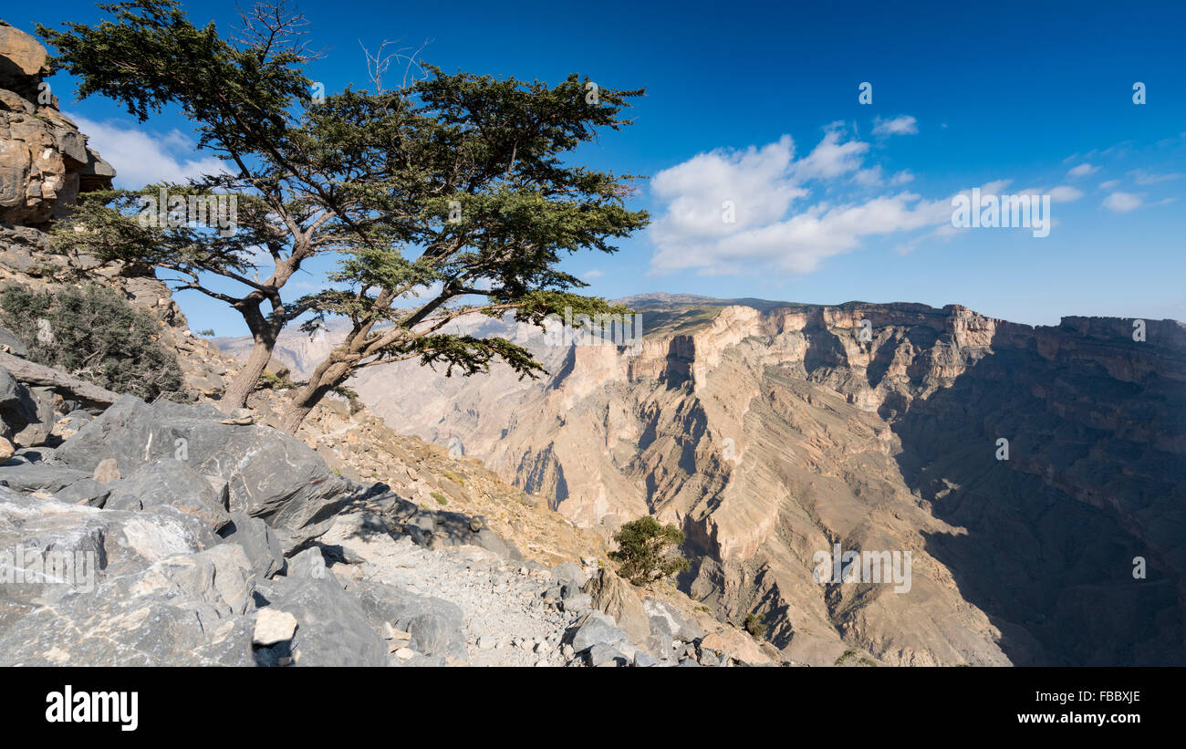 View of canyon at Wadi Nakhr, at Jebel Shams in Western Hajar mountains of Oman Stock Photo