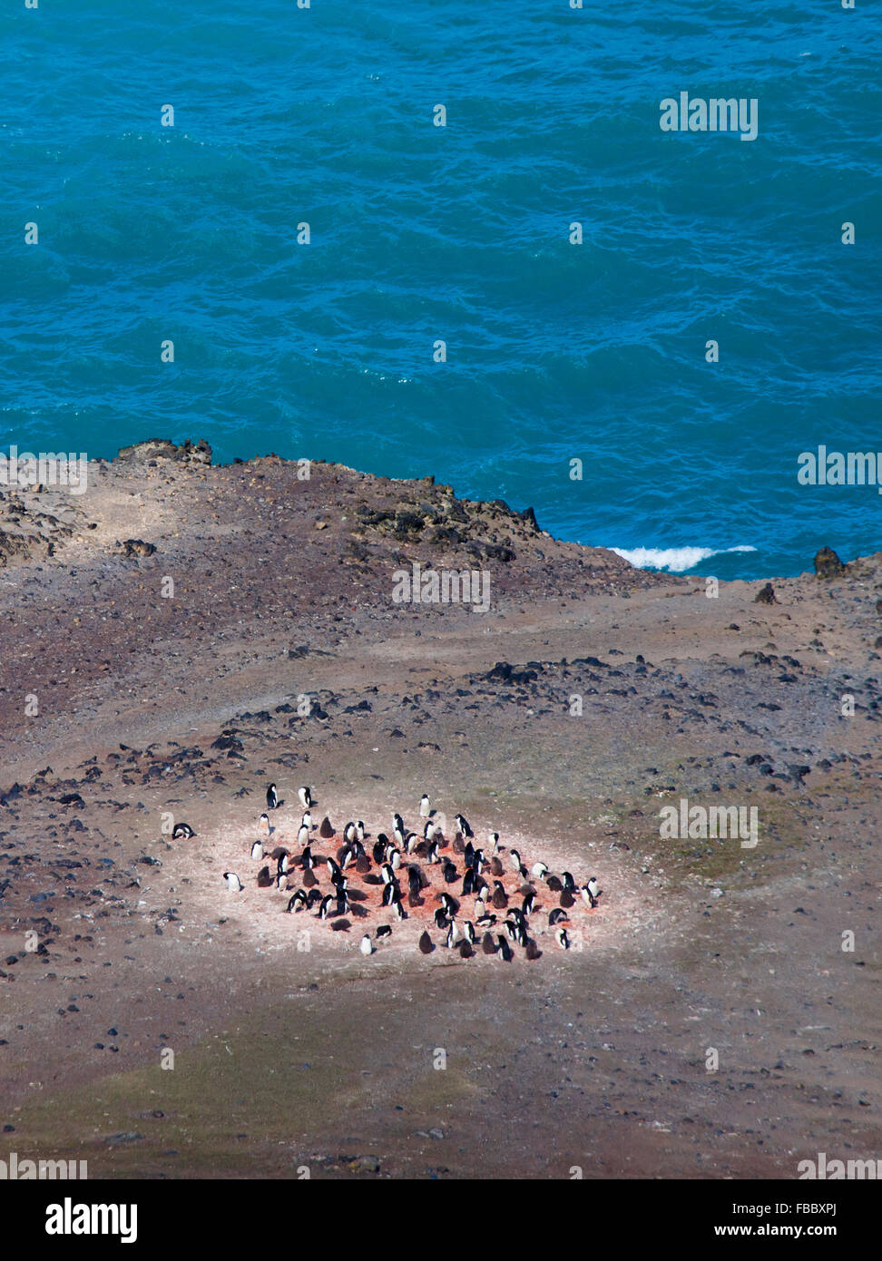 Rowan romeyn Stock Photos & Images from Alamy