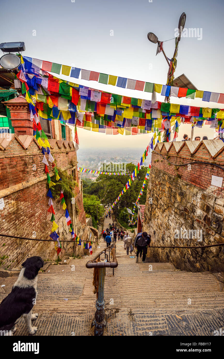 People coming to the Swayambhunath temple  early in the morning in Kathmandu, Nepal Stock Photo