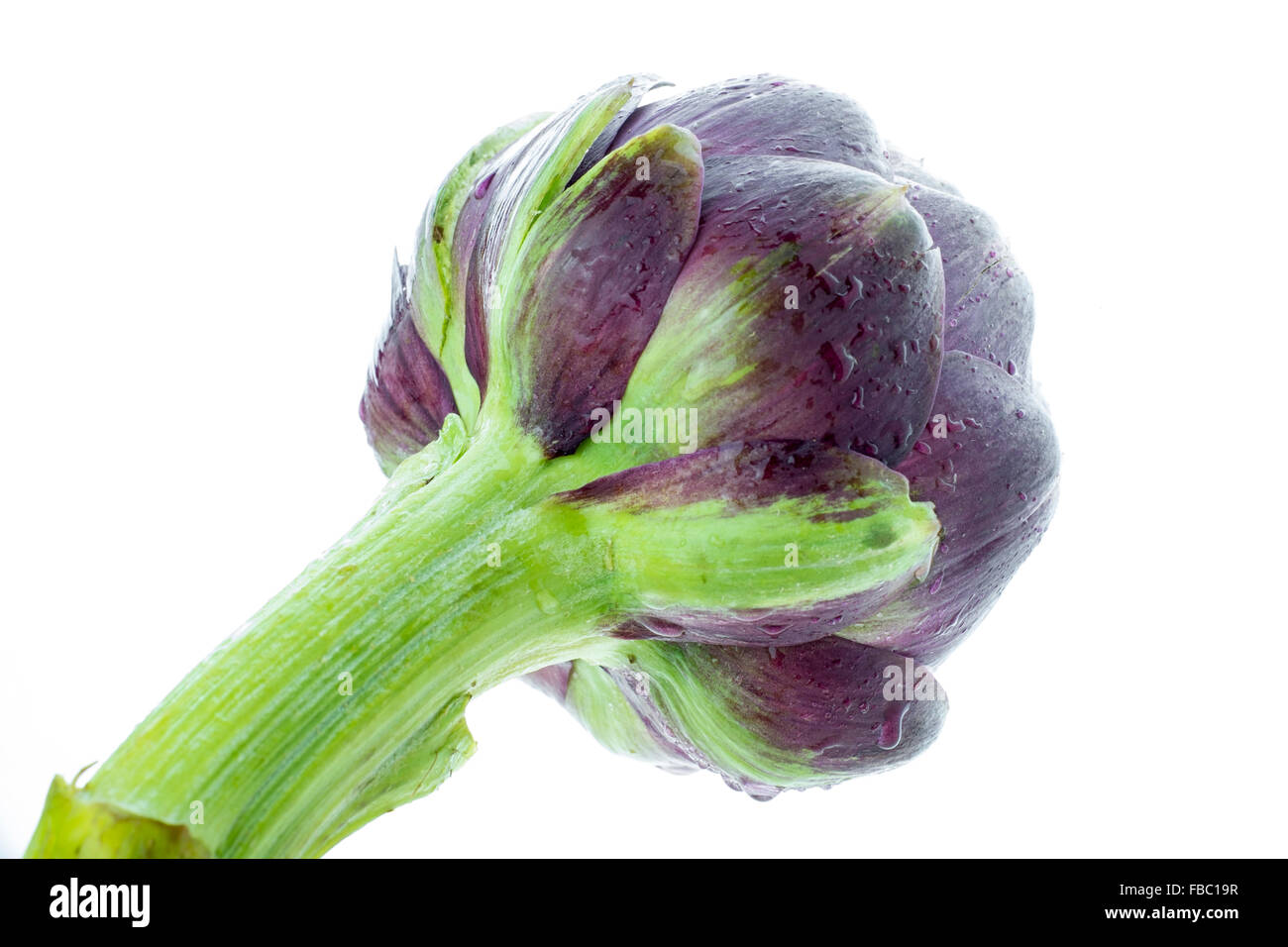 Romanesco artichoke Stock Photo Alamy