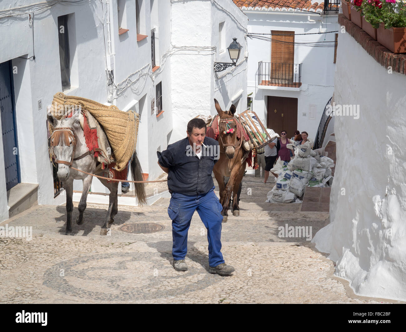 Donkeys Carrying Building Materials in Narrow Streets. Frigiliana a white town near Nerja, Costa Del Sol, Andalusia, Spain, Stock Photo