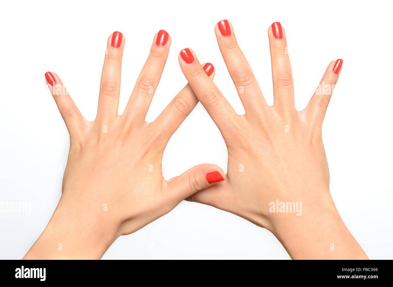 Young woman showing off her manicured nails painted with fashionable red lacquer in a close up overhead view over a white backgr Stock Photo