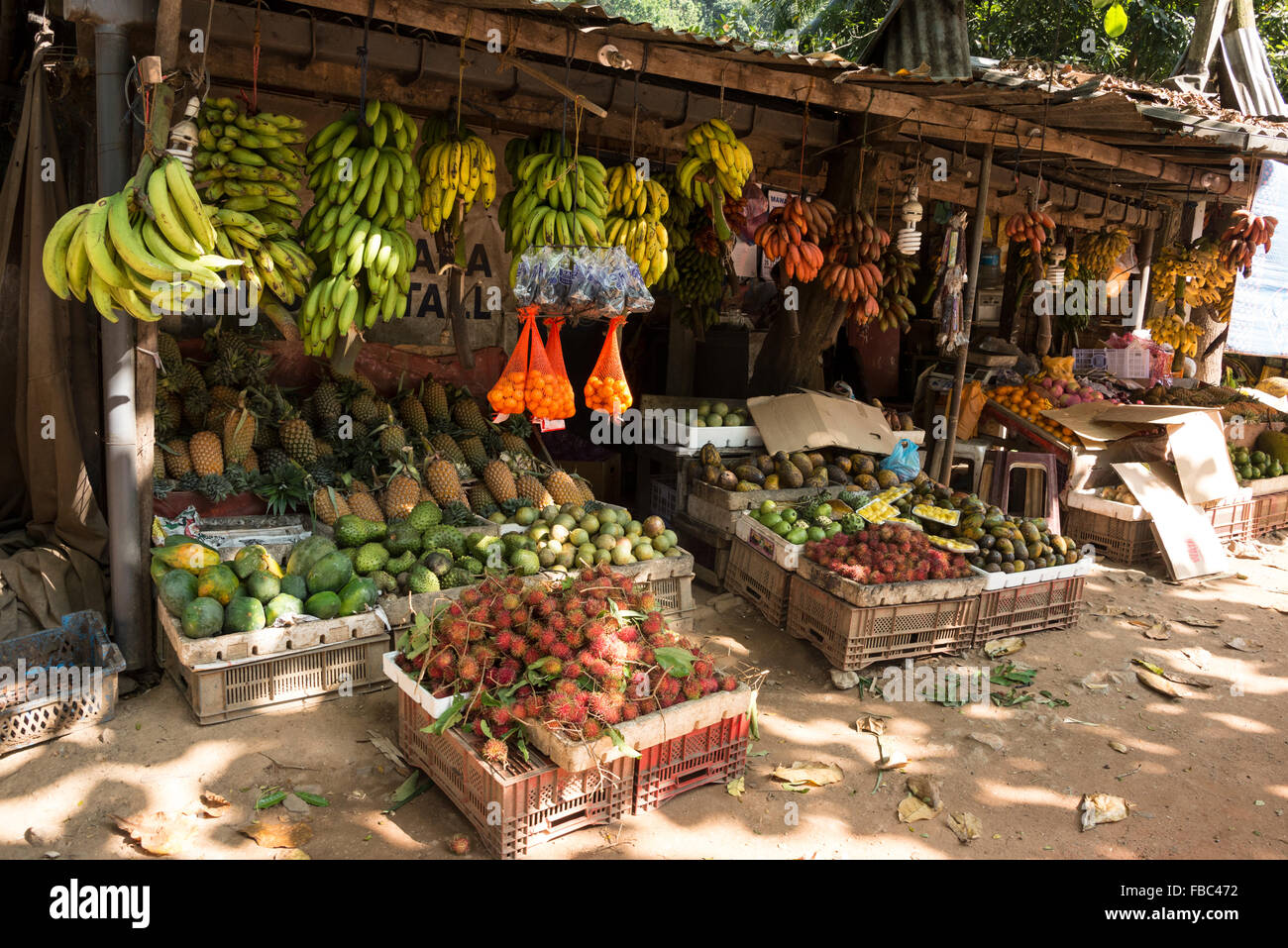 A roadside market stall selling local produce of fruit and Vegetables beside the  A1highway (Colombo-Kandy Highway ) in Sri Lank Stock Photo