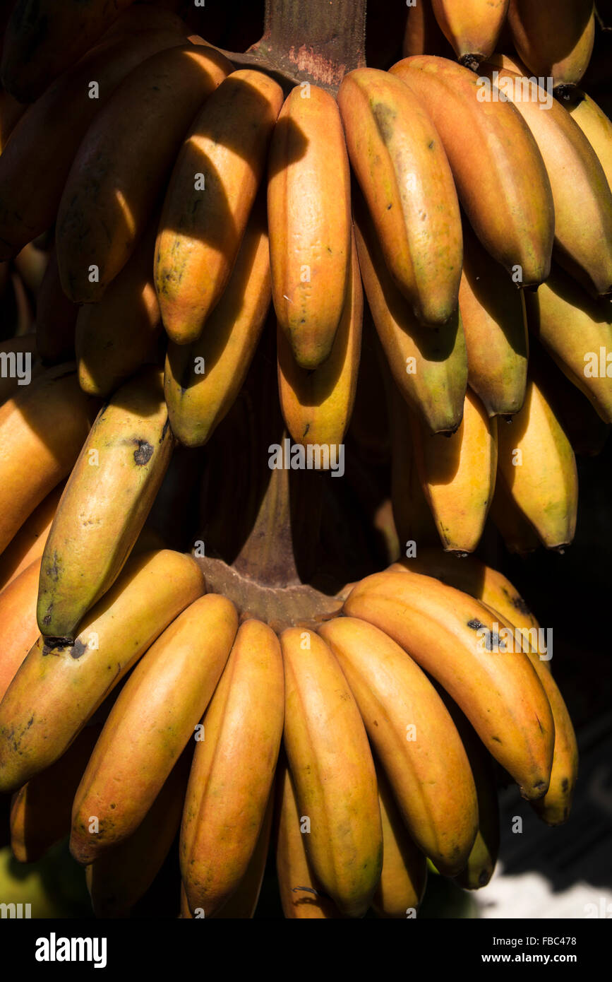 A bunch of Indian grown red bananas are on sale at a fruit & veg stall