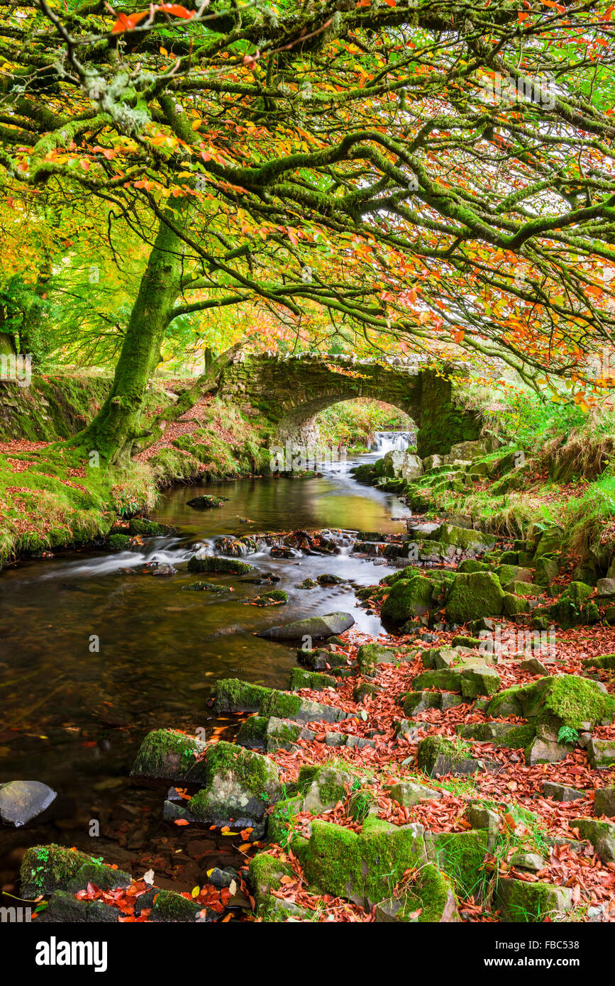 Robber's Bridge over Oare Water in Exmoor National Park near Oareford, Somerset, England Stock Photo