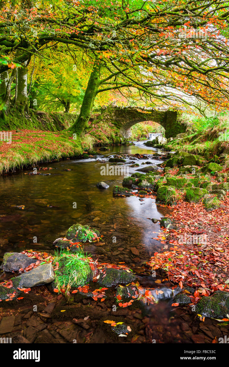Robber's Bridge over Oare Water in Exmoor National Park near Oareford, Somerset, England Stock Photo