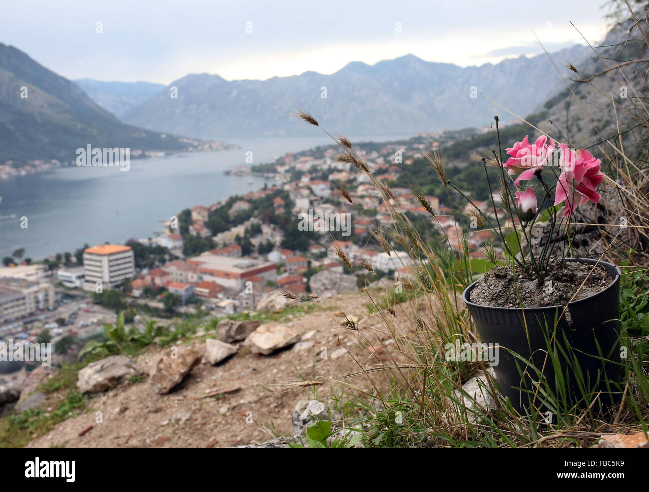 The Bay of Kotor alongside medieval port town of Kotor, Montenegró. Stock Photo