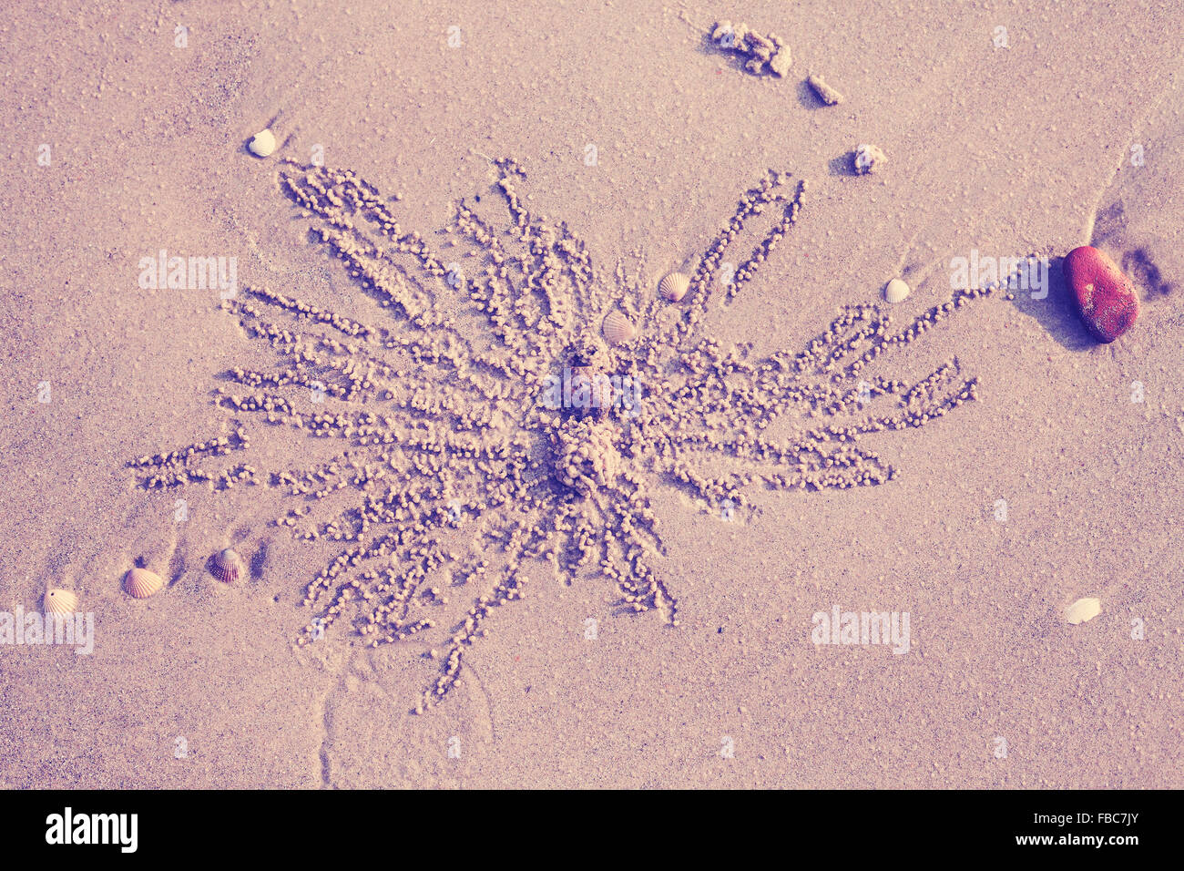 Vintage toned abstract nature background made of crab traces on the beach. Stock Photo