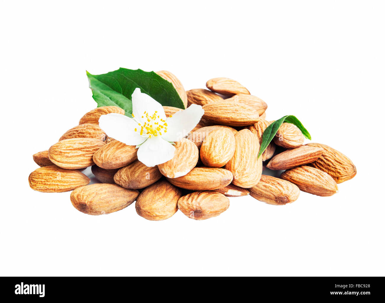 Almonds Nuts Isolated with Flower and Leaf Stock Photo
