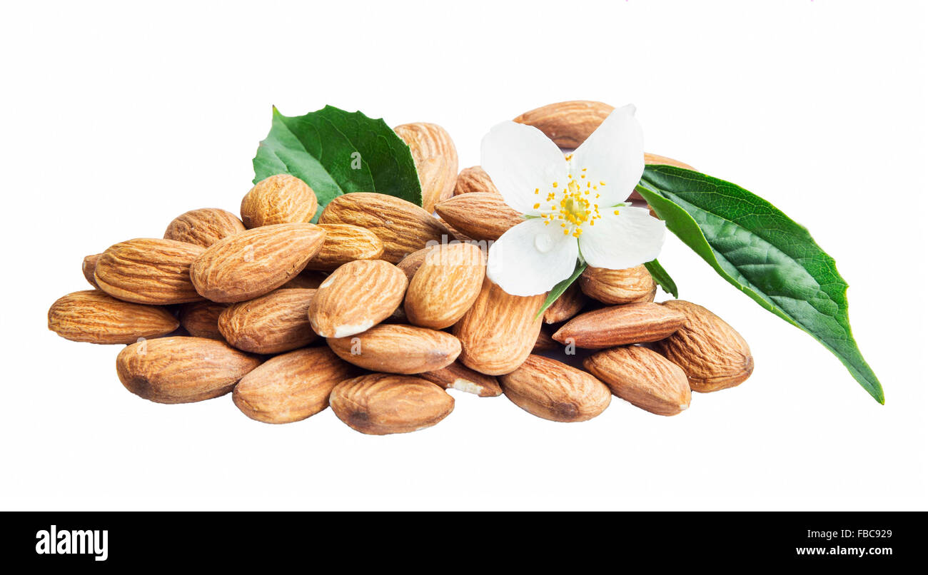 Almonds Nuts Isolated with Flower and Leaf Stock Photo