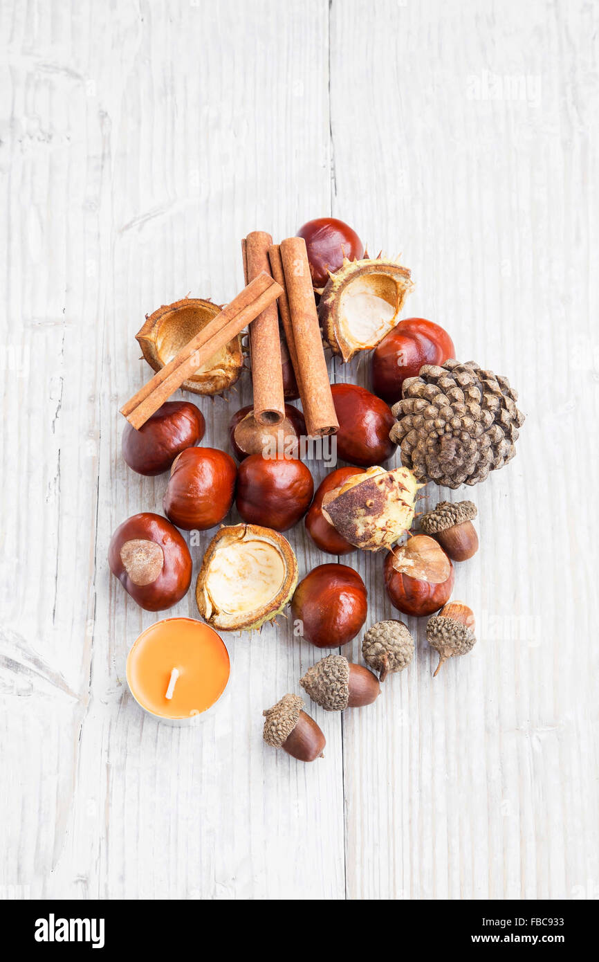 Autumn Decoration With Chestnuts Cinnamon Sticks Acorns Pine