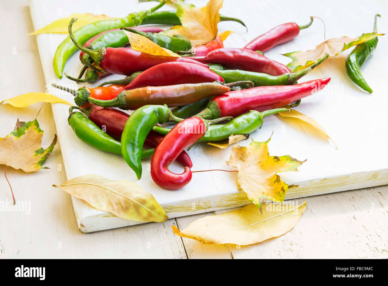 Hot Chilli Peppers with Bright Colors and Autumn Leaves Stock Photo