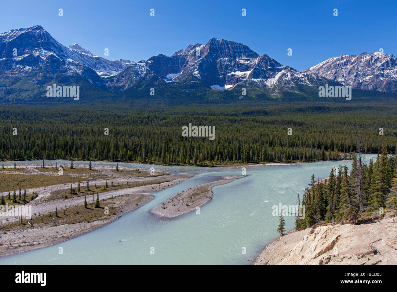 Athabasca River with glacial meltwater carrying rock flour in front of Rocky Mountains, Jasper National Park, Alberta, Canada Stock Photo