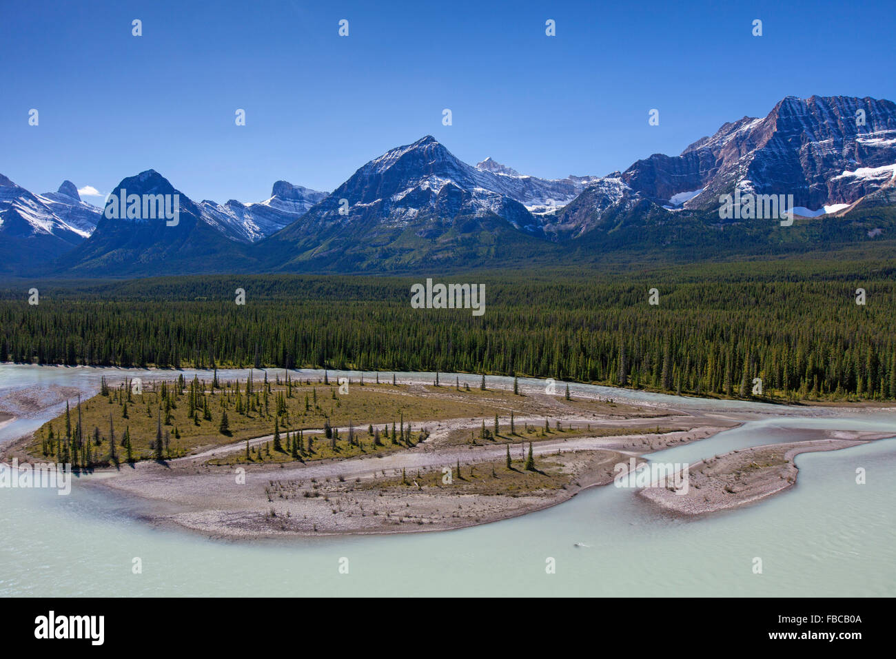 Athabasca River with glacial meltwater carrying rock flour in front of Rocky Mountains, Jasper National Park, Alberta, Canada Stock Photo