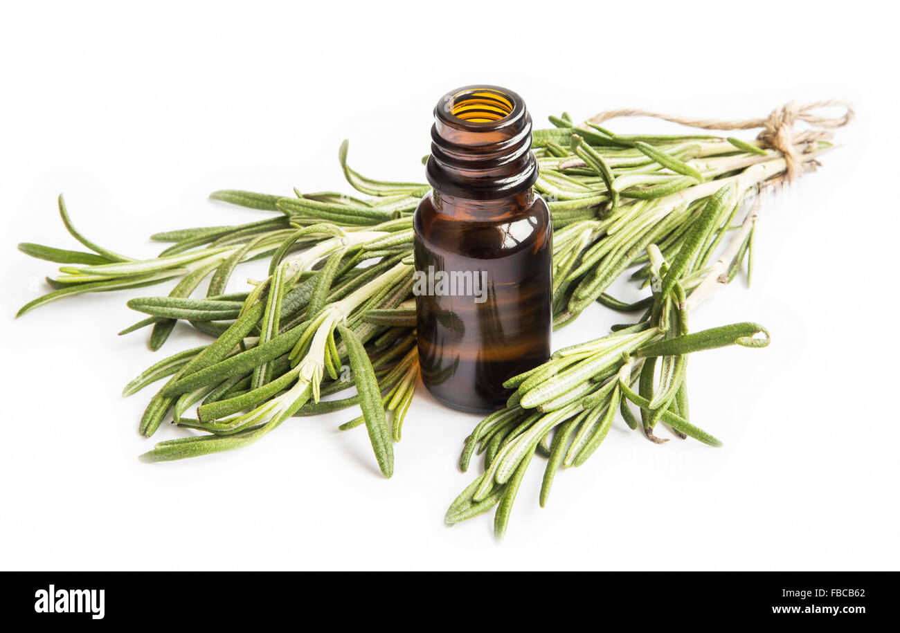 Rosemary Essential Oil Bottle with Rosemary Bunch Isolated on White Background Stock Photo