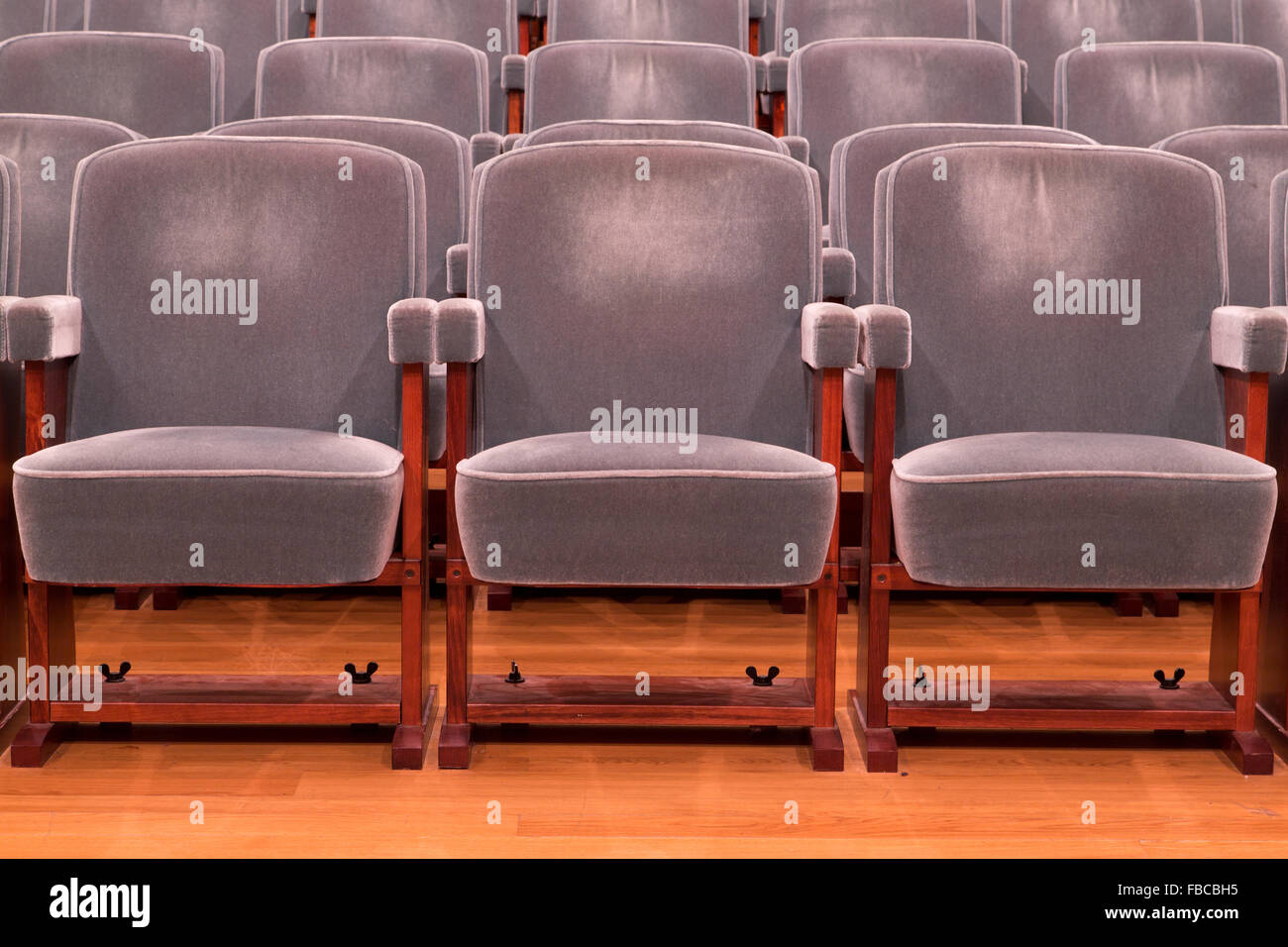Rows of grey theater seats in a concert hall Stock Photo Alamy